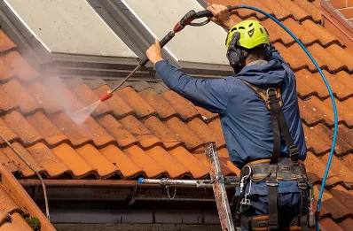Démoussage et hydrofuge de toiture à Lespielle